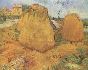 Vincent Van Gogh Haystacks in Provence (nn04) Spain oil painting artist